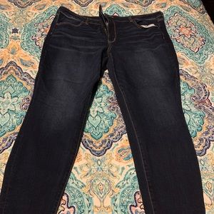 American Eagle Plus Size Jeans 22 Jegging